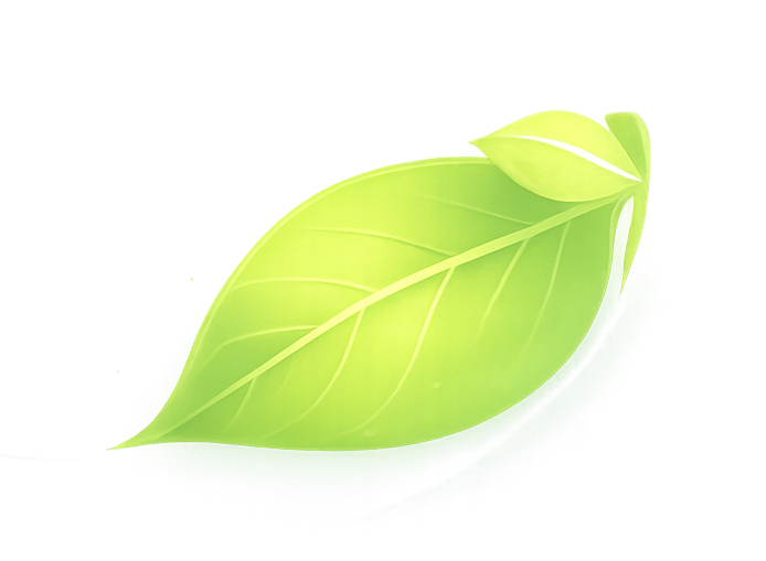 Leaf Decor