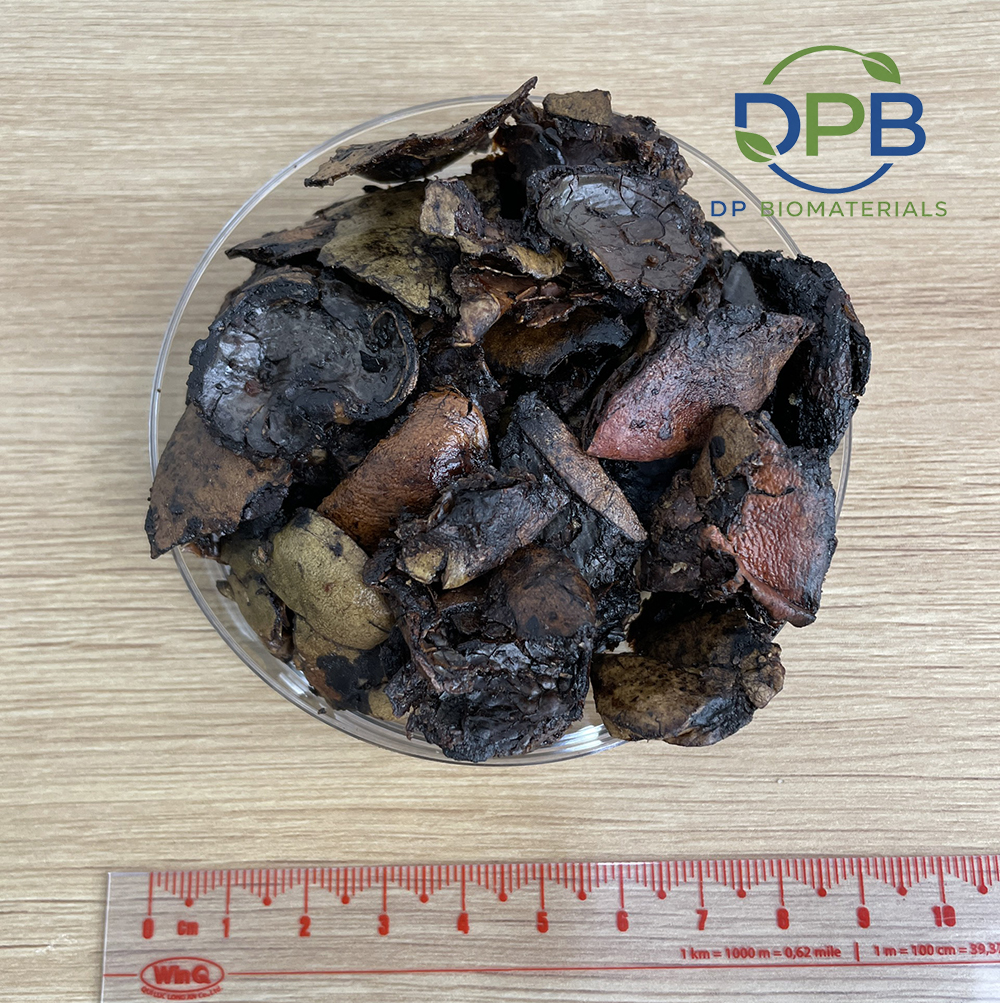 Cashew nut shell extraction