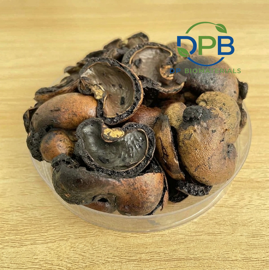 Cashew nut shell